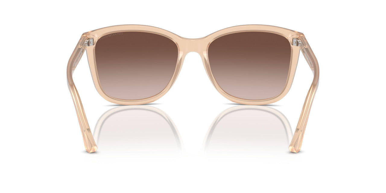 609813 - Brown - Brown Gradient