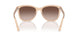 609813 - Brown - Brown Gradient