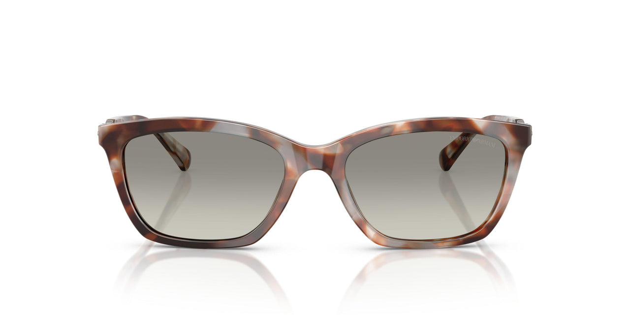 61953C - Tortoise - Grey Gradient
