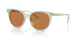 604973 - Green - Amber