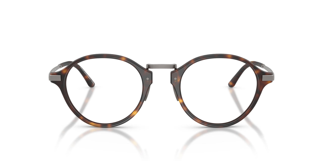 6403 - Tortoise