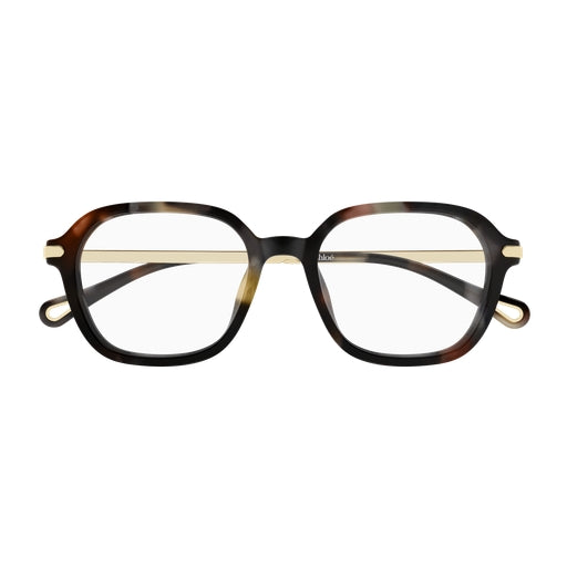 002 - Havana/Gold - Transparent