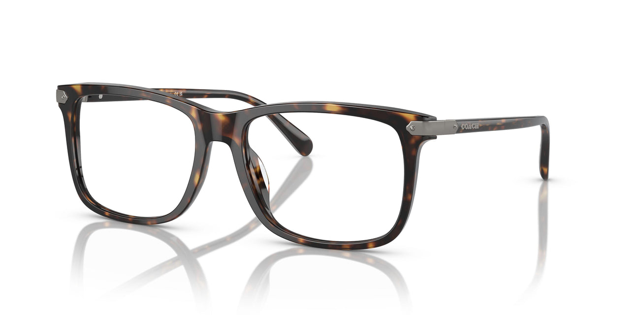 5120 - Tortoise