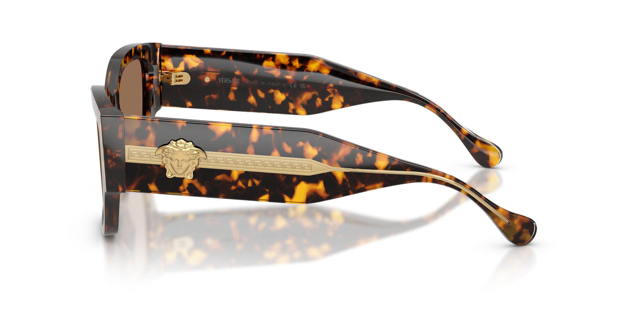 551473 - Tortoise - Dark Brown