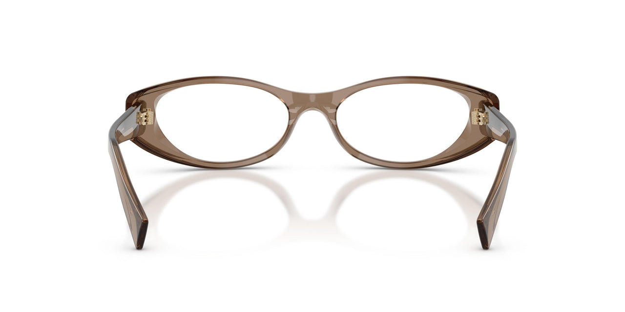 26M1O1 - Brown