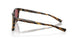 200221 - Tortoise - Gold Mirror