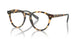 5004 - Shiny Tortoise Brown