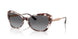 3218T3 - Tortoise - Gradient Grey Polar