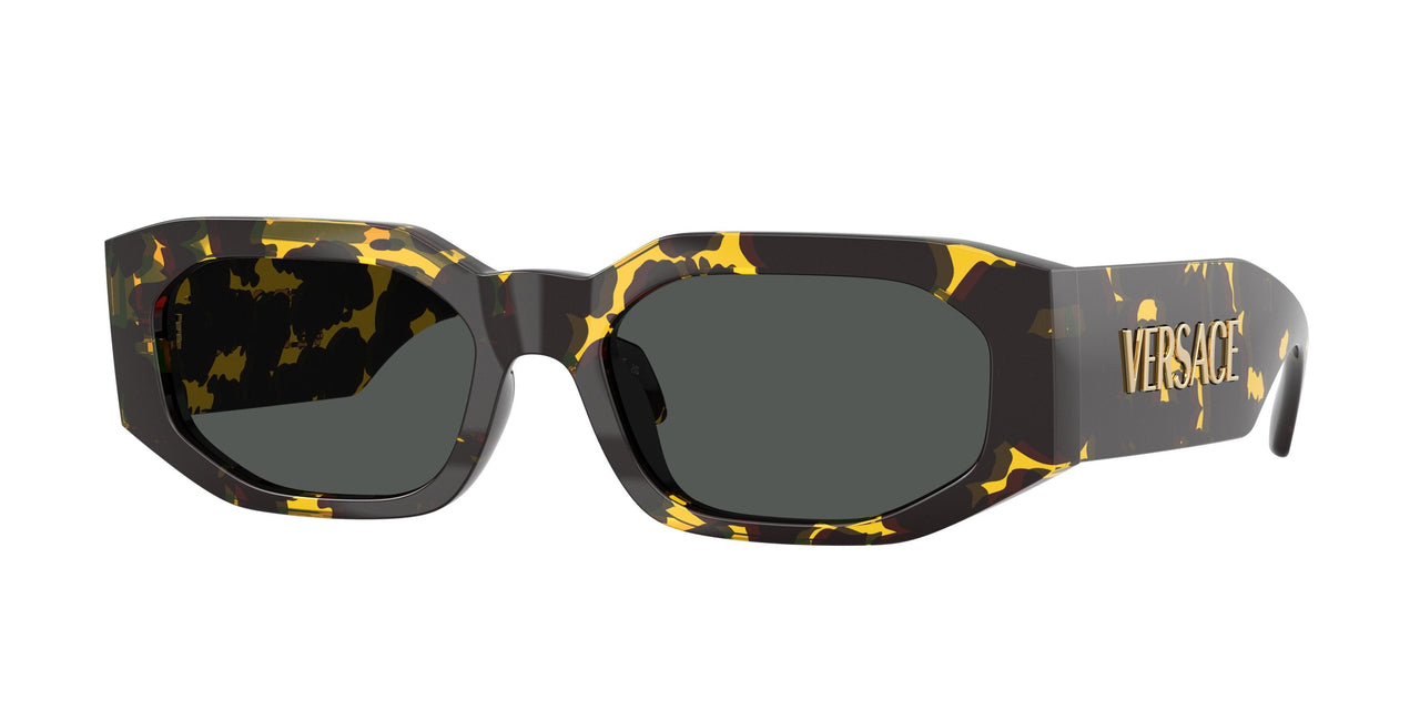 Versace 4489U Sunglasses