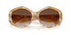 194913 - Tortoise - Brown Gradient