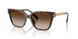 300613 - Tortoise - Smoke Gradient