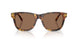 513473 - Tortoise - Brown