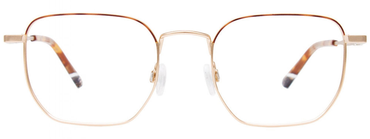 10 - Gold & Tortoise