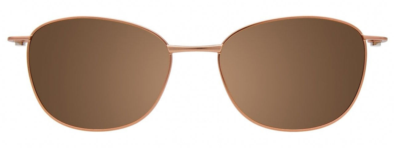 10 - Matt Gold & Dark Brown