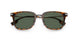300271 - Brown - Dark Green