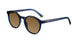DBBR - Dark Blue Brown