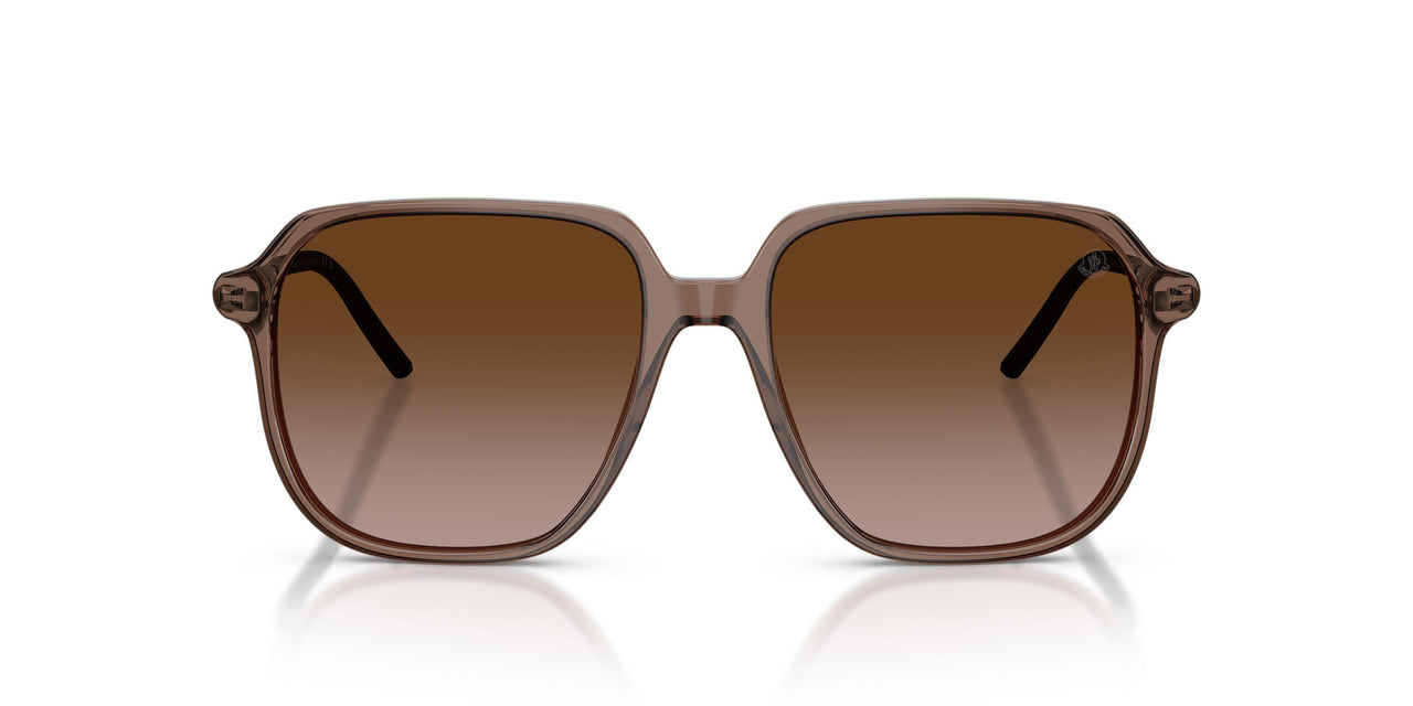 301813 - Brown - Gradient Brown