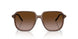301813 - Brown - Gradient Brown