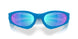 953909 - Blue - Prizm Sapphire Polarized