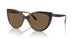 W65673 - Havana - Dark Brown