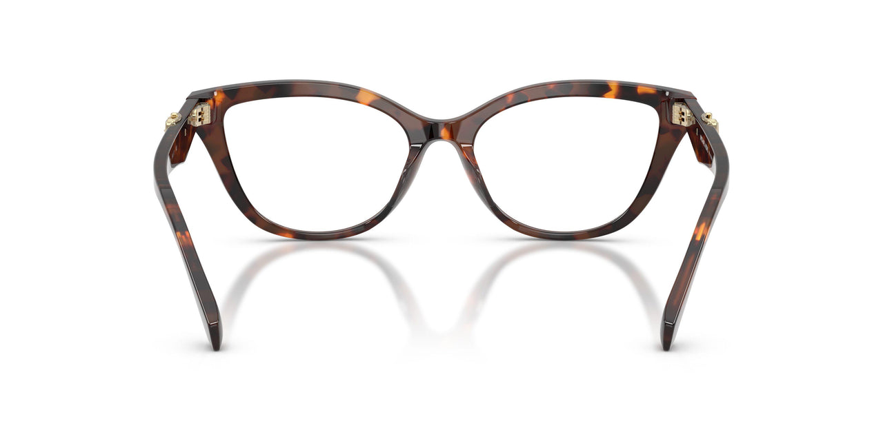 4031 - Tortoise