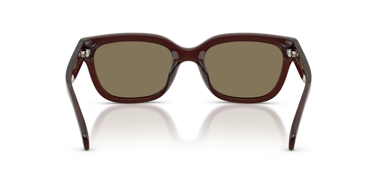 837373 - Brown - Light Brown