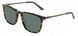 Cole Haan CH6085 Sunglasses