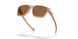 949707 - Brown - Prizm Bronze