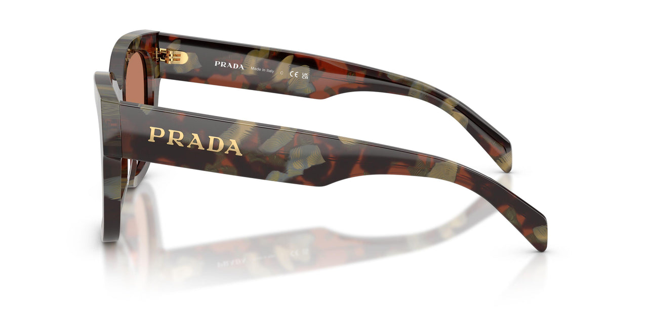 22F90Q - Tortoise - Brown