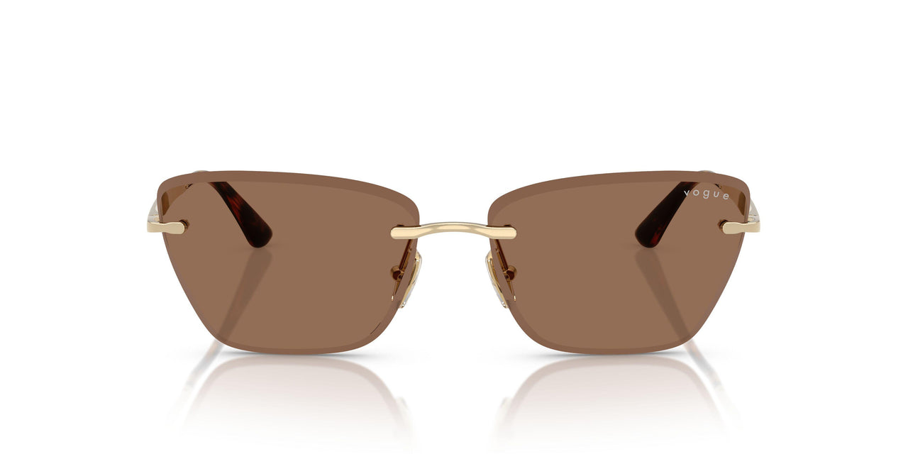 848/73 - Gold - Dark Brown