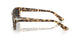 105648 - Tortoise - Polar Black