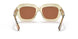 393173 - Yellow - Brown