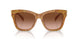 32883B - Tortoise - Amber Gradient