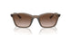 834913 - Brown - Gradient Brown