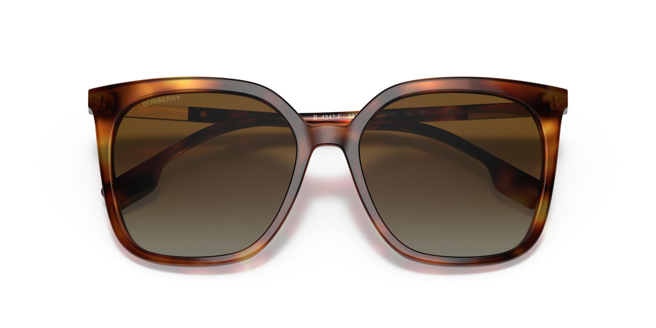 3316T5 - Havana - Gradient Brown Polar