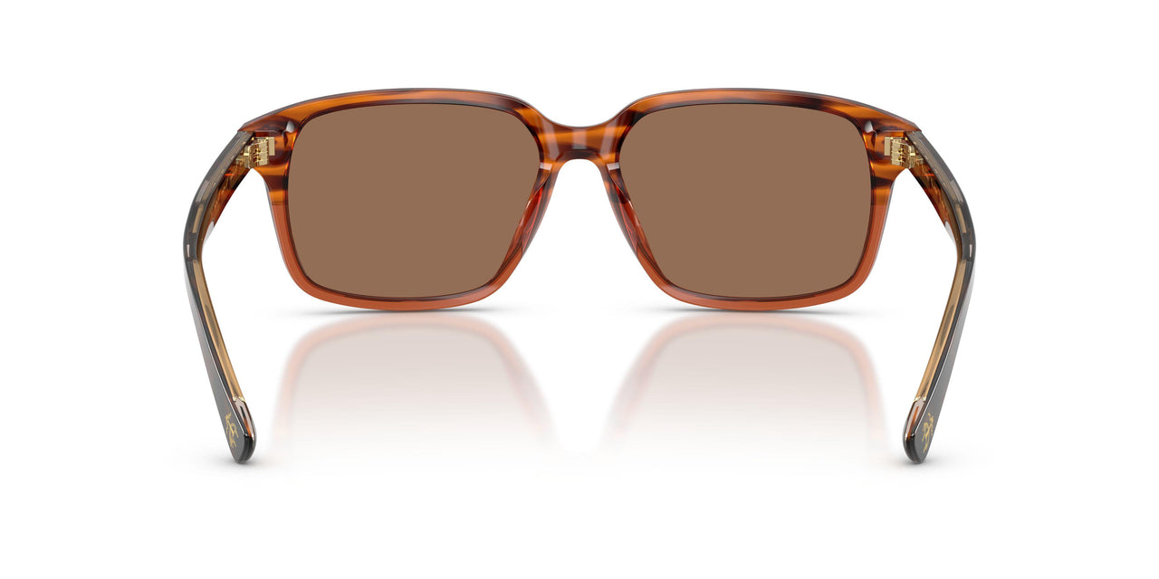 617573 - Brown - Brown