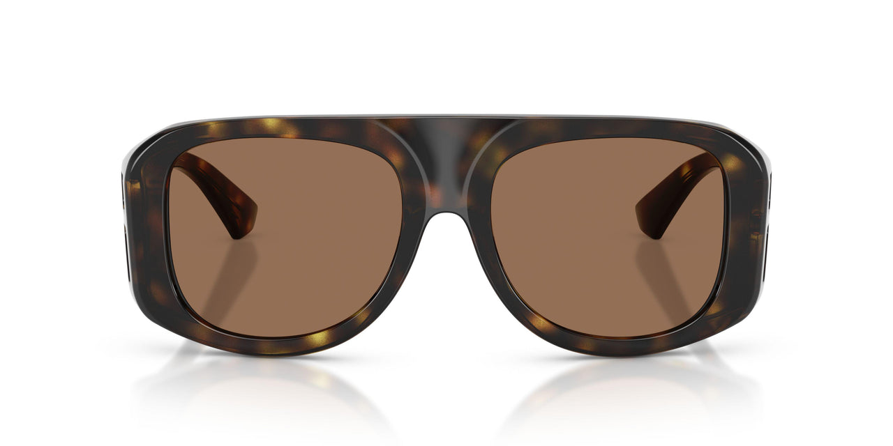 502/73 - Tortoise - Dark Brown