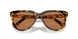 VAU01T - Tortoise - Dark Brown