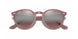 616613 - Turtledove - Brown Gradient
