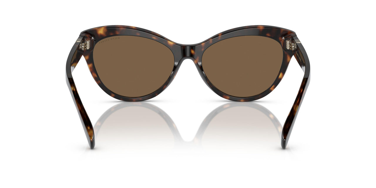 500373 - Tortoise - Brown