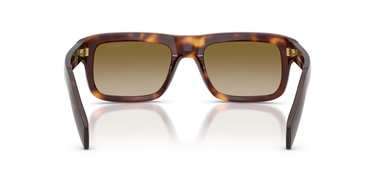 15W20U - Tortoise - Brown Gradient