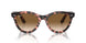 133451 - Pink - Clear & Brown