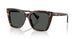 500387 - Tortoise - Grey