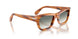 960/3A - Tortoise - Clear Gradient Green