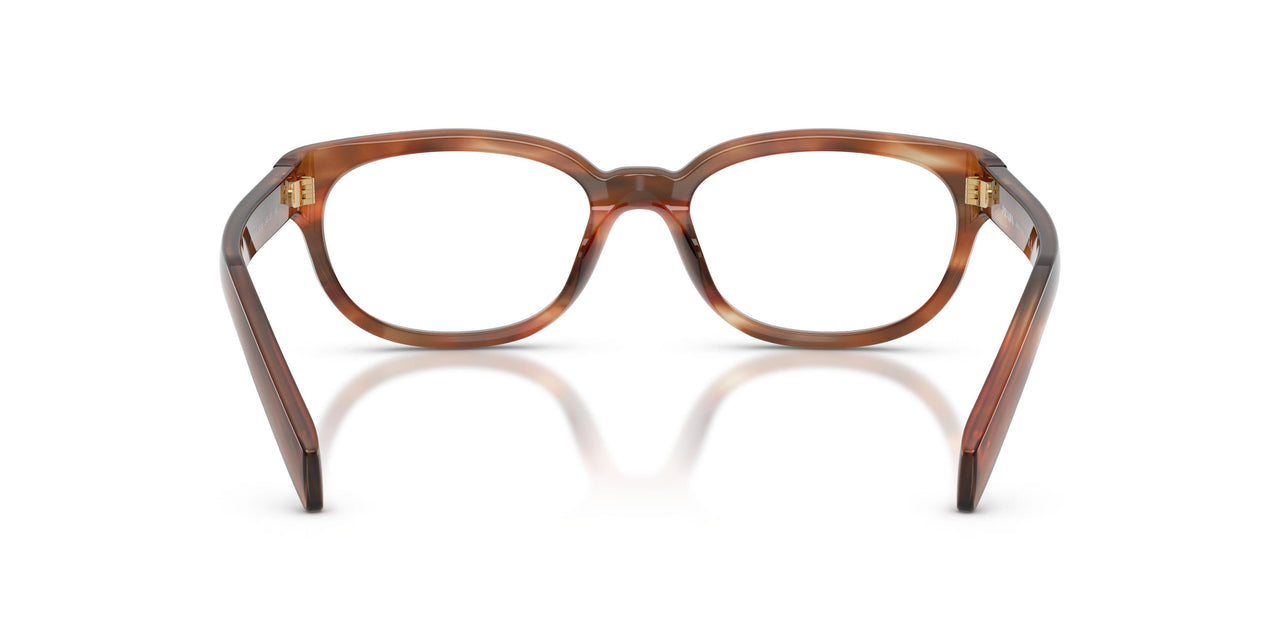 24G1O1 - Brown