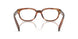 24G1O1 - Brown