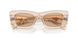 19M4I2 - Brown - Light Brown