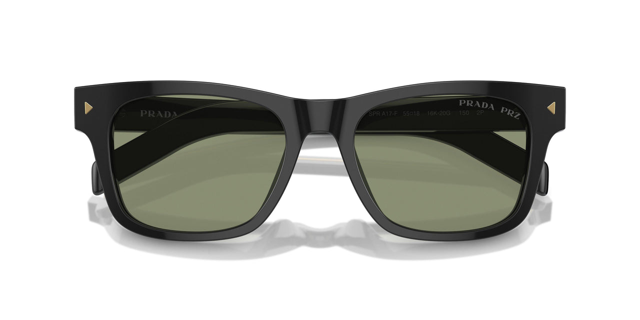 16K20G - Black - Polarized Green