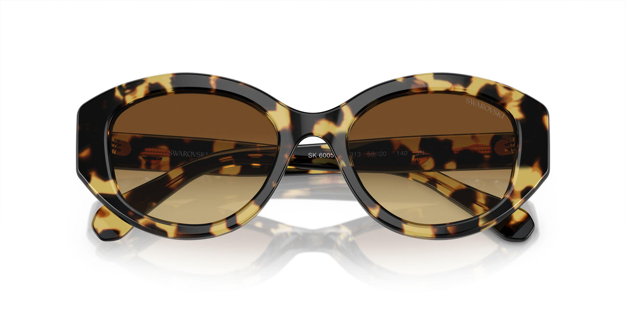 100913 - Tortoise - Brown Gradient