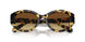 100913 - Tortoise - Brown Gradient